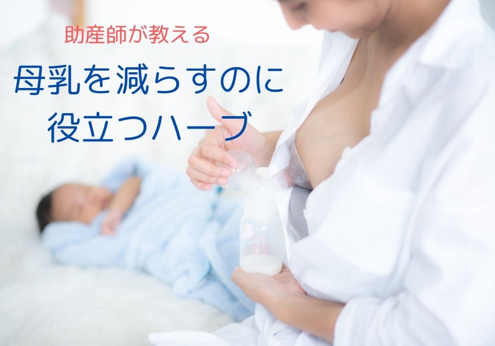 助産師執筆 母乳を減らす 抑制 のに役に立つお茶 ハーブティー 助産師のいるハーブ アロマサロンmyherb 助産院myherb